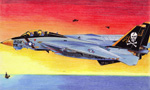F14